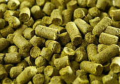 Хмель гранул. "Mandarina Bavaria" ("Мандарина Бавария") 50г. Альфа 7,9%; Тип 90;