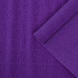 Бумага для упаковок и поделок, гофрированная, фиолетовая, однотонная, двусторонняя, рулон 1 шт., 0,5 х 2,5 м, фото 3