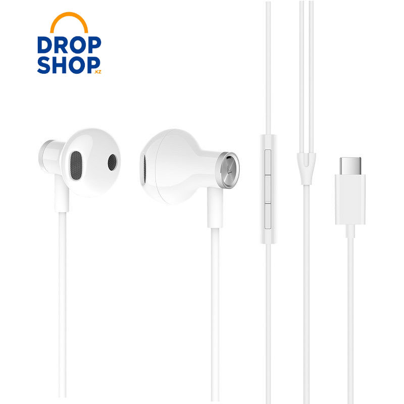 Наушники Xiaomi Mi Dual Driver Earphones Type-C - фото 1 - id-p70409502