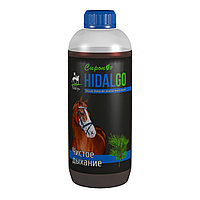 Идальго сироп Чистое дыхание (1 л)