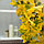 Дерево светодиодное улич. 1,8 м. "Клён Осенний" 384 Led, 23 W, 220V Желтый, фото 3