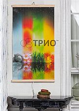 Настенный обогреватель ТРИО 4 сезона, фото 2