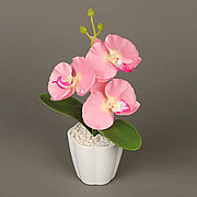 Декоративная композиция-вазон Орхидеи