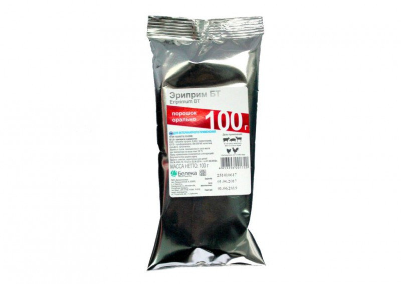 Интернеттегі бандалық порно фильмдер