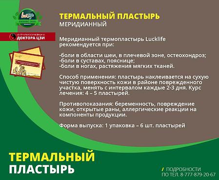 МЕРИДИАННЫЙ ТЕРМОПЛАСТЫРЬ, фото 2