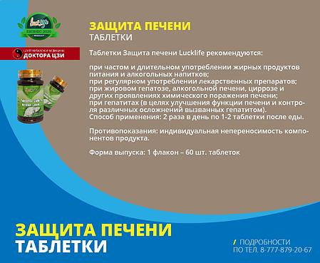 ЗАЩИТА ПЕЧЕНИ, фото 2