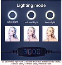 LED прожектор кольцо , для съемки с телефона CX-B260, фото 3