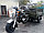 Трицикл - грузовой BATYR 250 (Муравей), фото 2