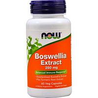 Boswellia Extract 250 mg, 60 veg.caps, NOW