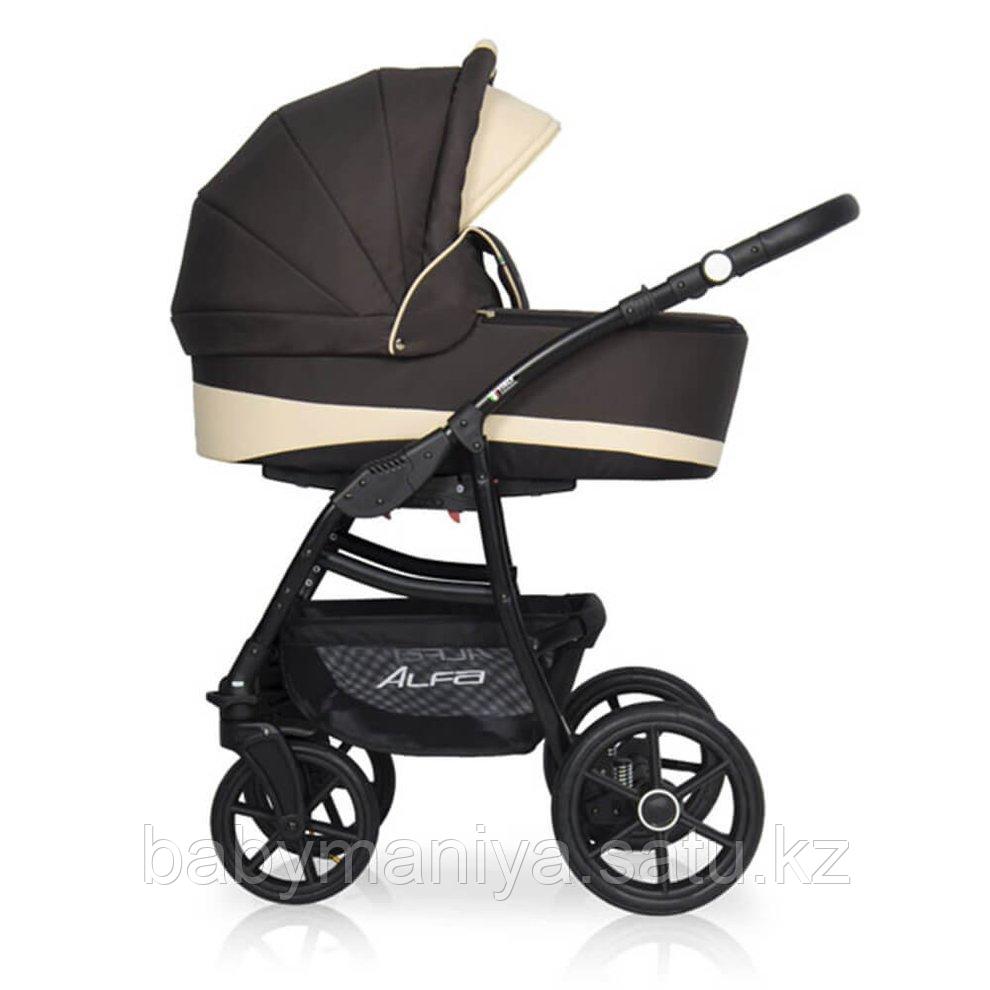 Коляска 2 в 1 RIKO BASIC ALFA ECCO 08 коричневый-бежевый