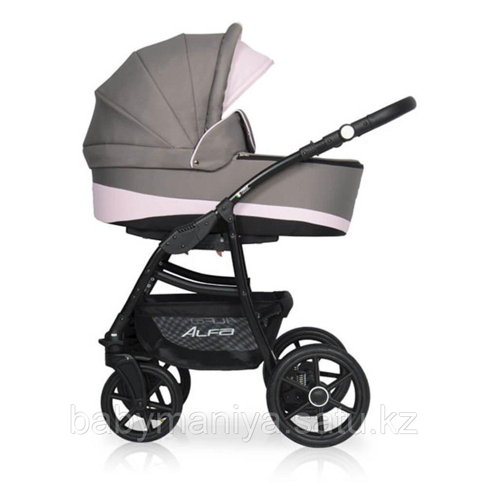 Коляска 2 в 1 RIKO BASIC ALFA ECCO 09 серый-розовый