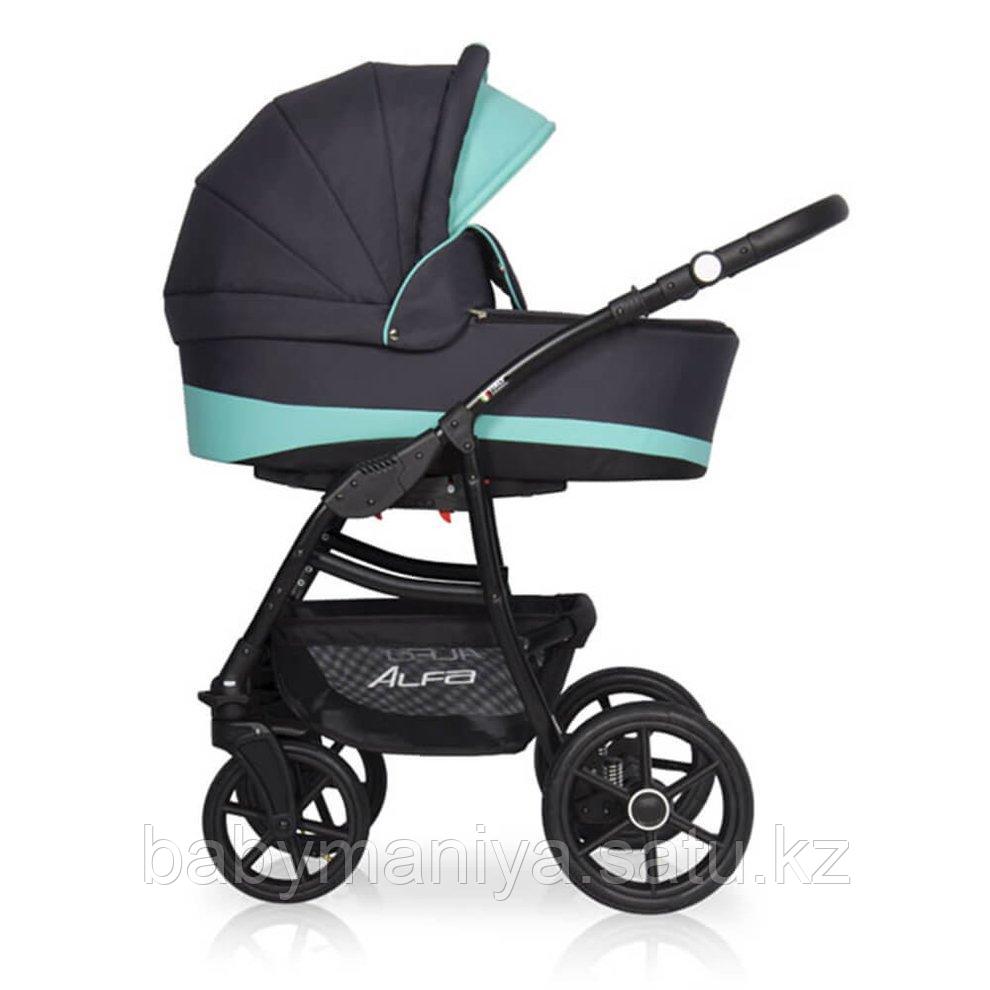 Коляска 2 в 1 RIKO BASIC ALFA ECCO 04 (графит-бирюзовый)