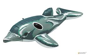 Надувной дельфин ROXY