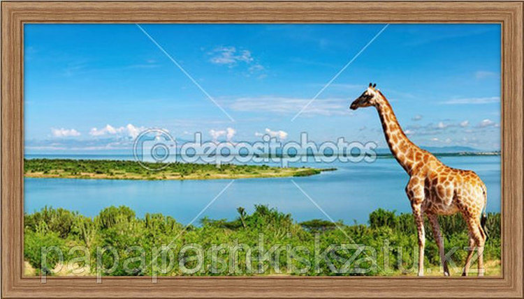 Картина или постер "Жираф", фото 1