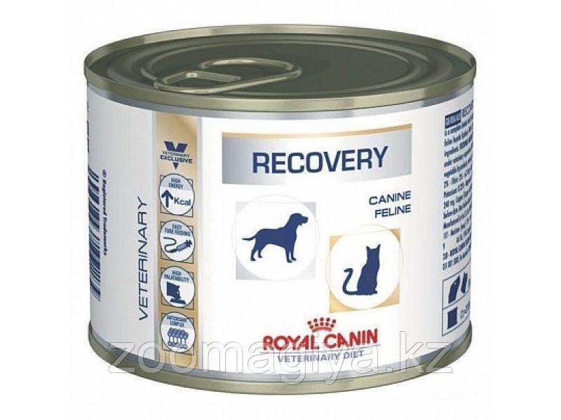 Royal Canin Влажный веткорм для собак при анорексии (Recovery Feline), 195 гр - фото 1 - id-p77789424