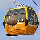 NAR СЕТКА 1.27мх50м 140g ONE WAY VISION (перфорированная пленка), фото 4