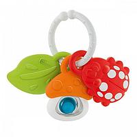 Погремушка Chicco Nature's Friends 6м+