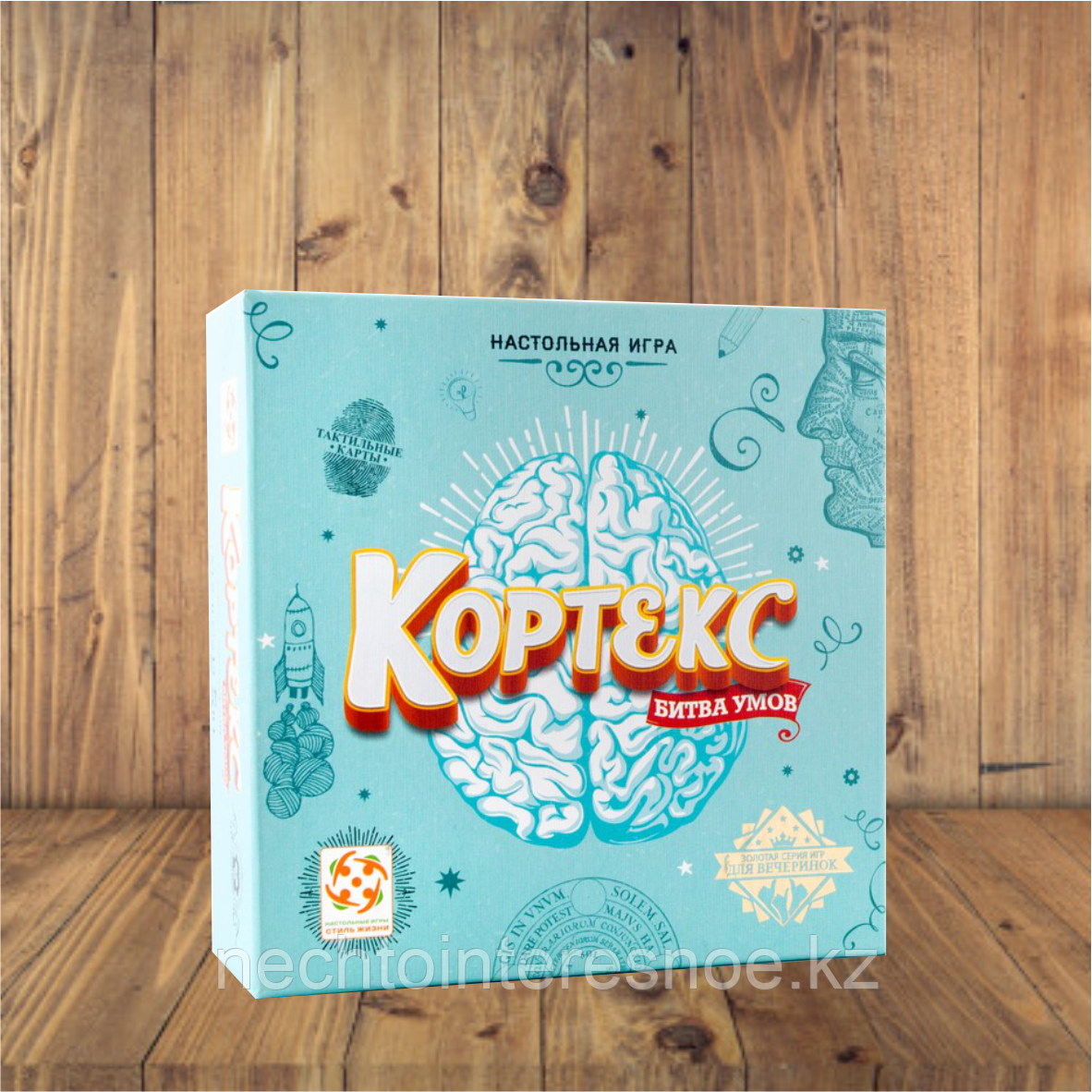 Кортекс