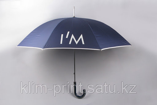 Кепки, футболки, ручки, зонты с нанесением логотипа компании в Алматы