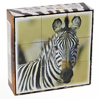 Кубики пластмассовые «Животные Африки», 9 штук