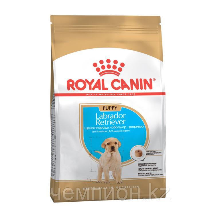 ROYAL CANIN Labrador Puppy Retrivier, Роял Канин для щенков породы Лабрадор Ретривер, уп. 12 кг