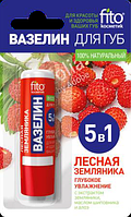 ФК 7909 Ерінге арналған Вазелин Орман құлпынайы 4,5 гр