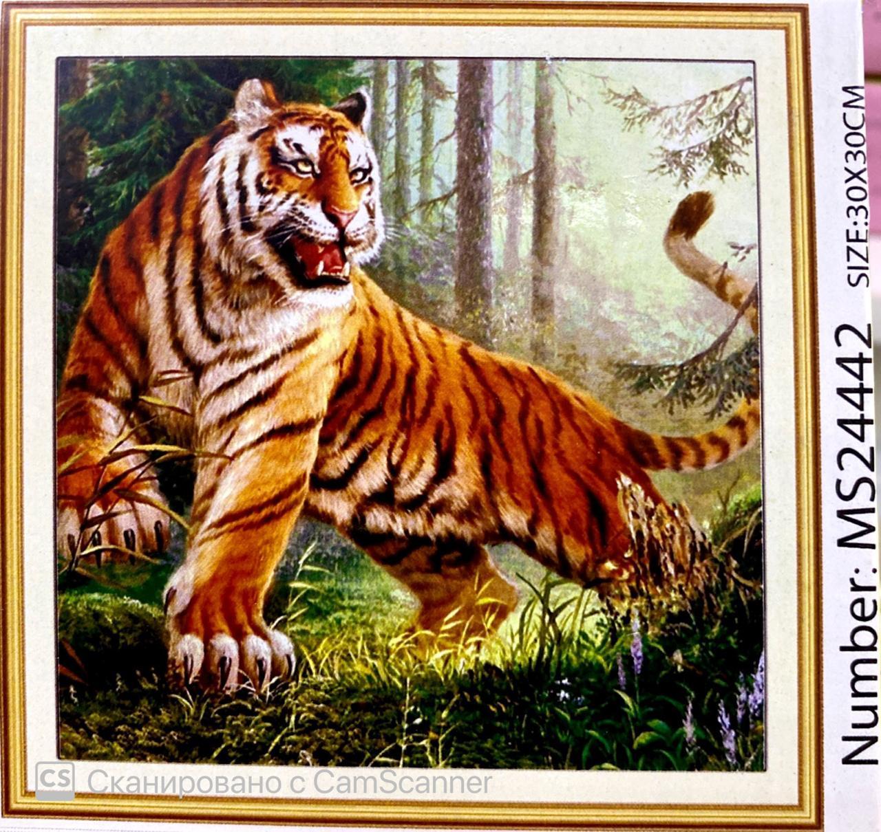 Алмазная мозаика в рамке круглые стразы 5D "Тигр" 30х30