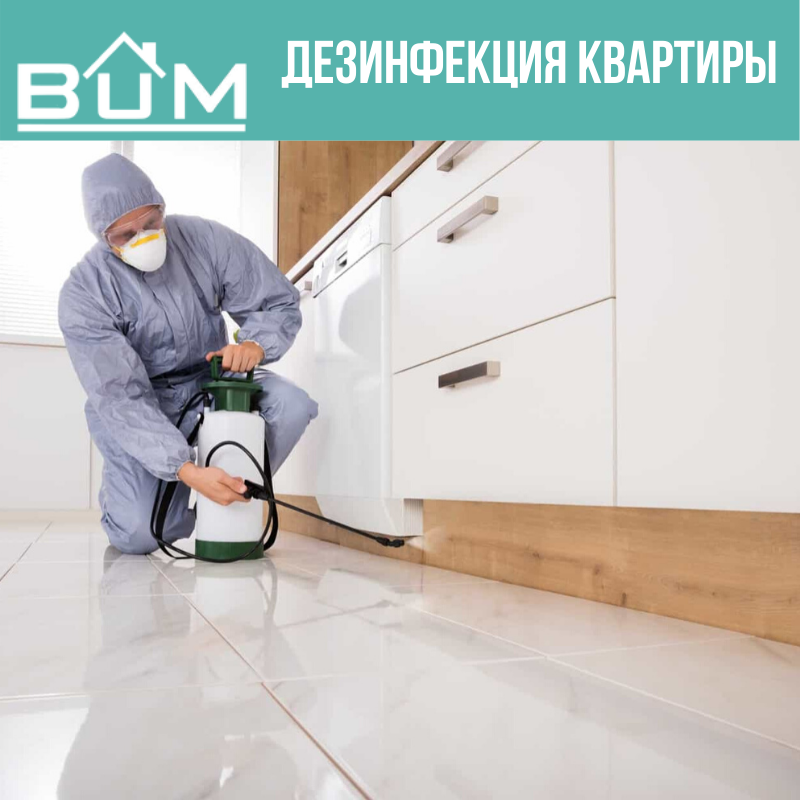 Дезинфекция квартир