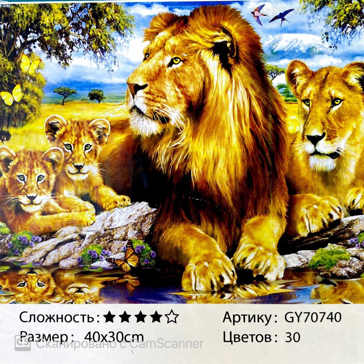Алмазная мозаика в рамке круглые стразы 5D "Семья львов" 40х30