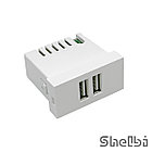 Shelbi 2-портовая USB Розетка зарядка 45х22.5, белая, фото 8