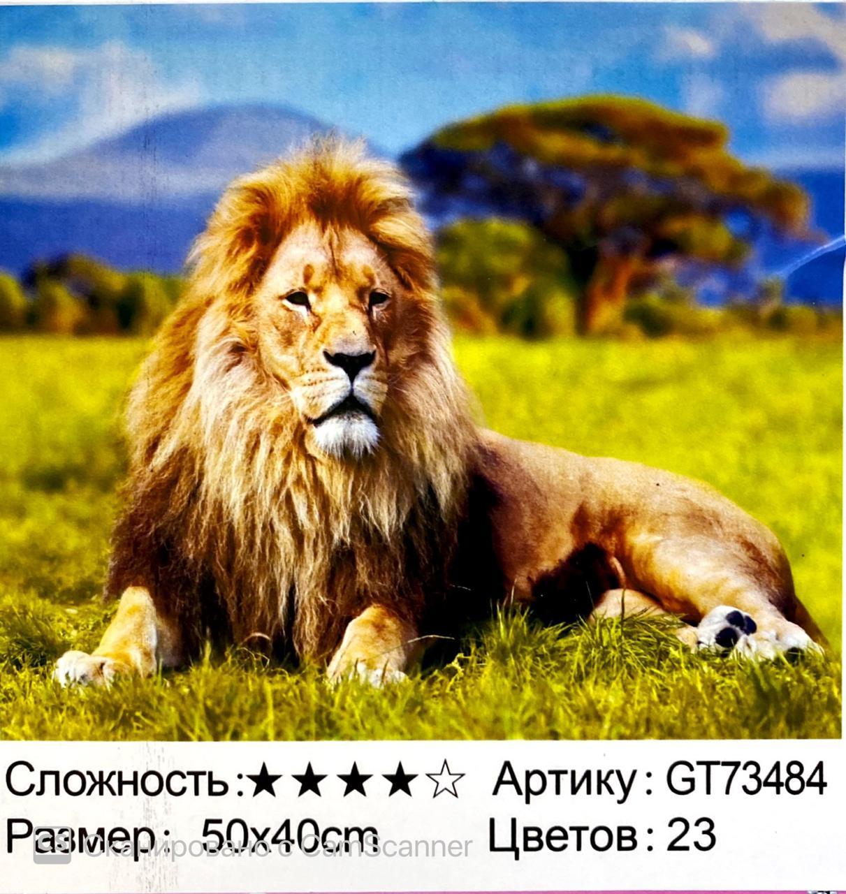 Алмазная мозаика в рамке круглые стразы 5D "Лев" 50х40