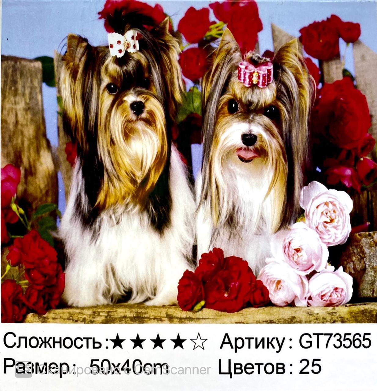 Алмазная мозаика в рамке круглые стразы 5D "Йоркширский терьер" 50х40