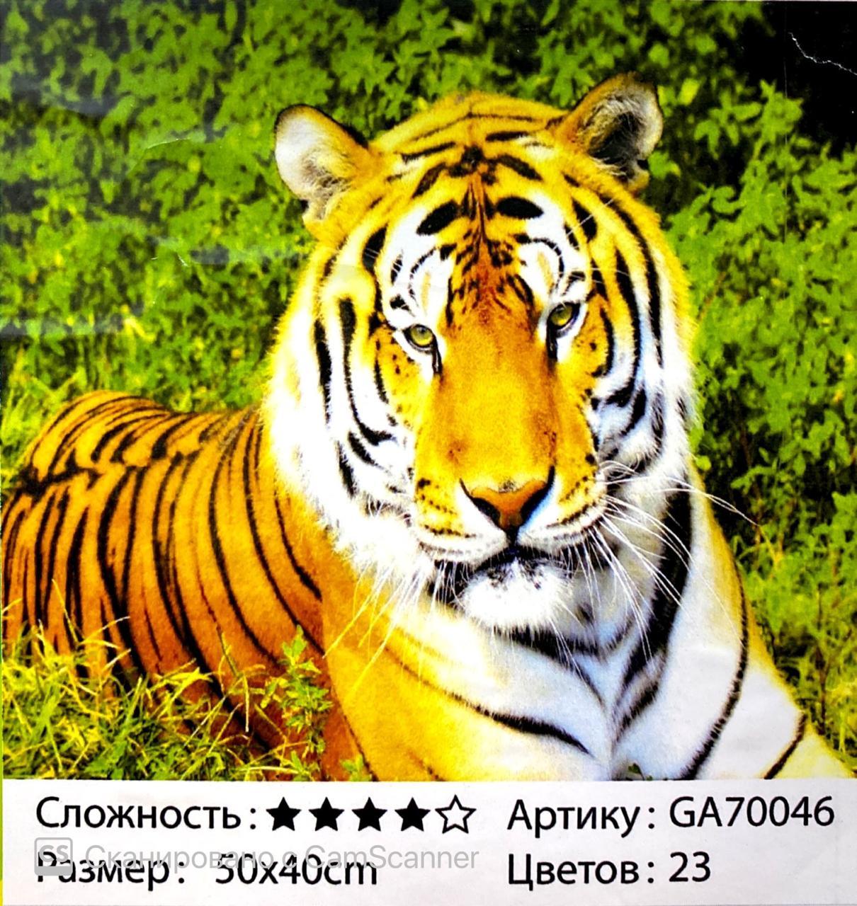 Алмазная мозаика на подрамнике круглые стразы 5D "Тигр" 50х40