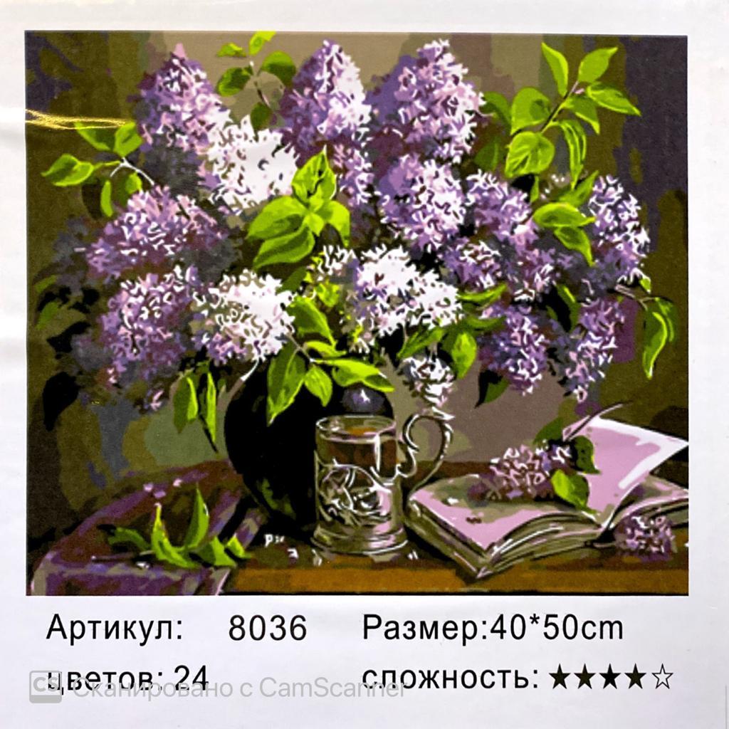 Картина по номерам "Сирень" 50*40