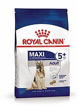 ROYAL CANIN Maxi Adult 5+, Роял Канин корм для пожилых собак крупных пород, уп. 15 кг