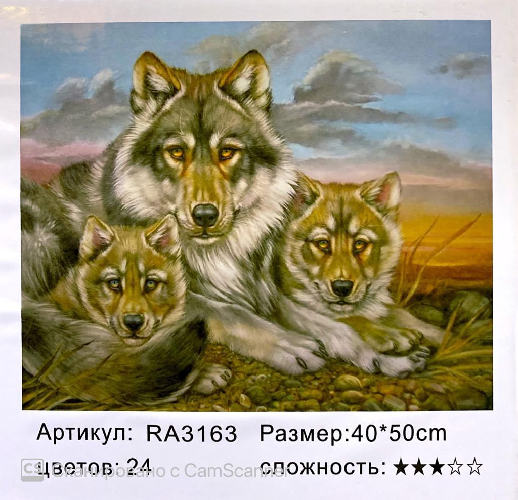Картина по номерам "Волки" 50*40
