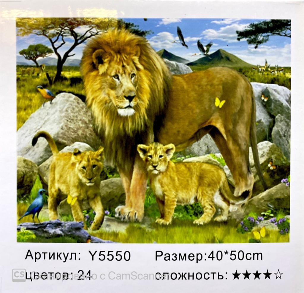 Картина по номерам "Лев с львятами" 50*40