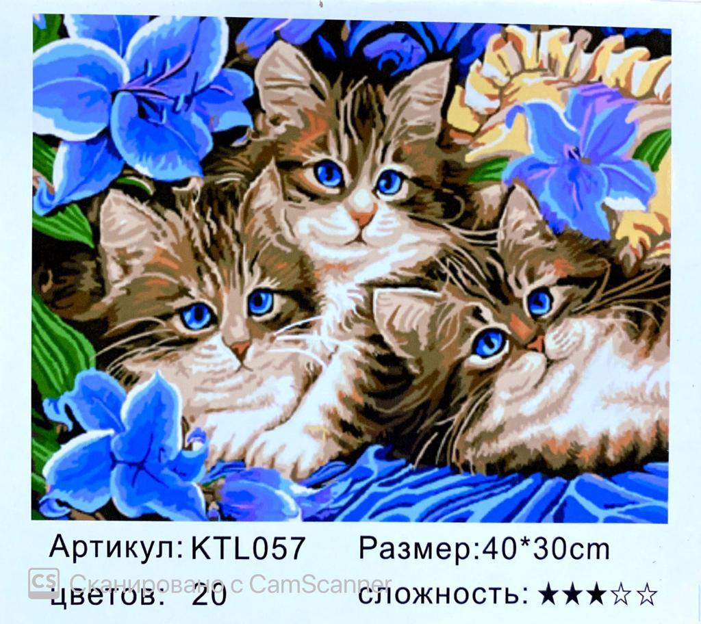 Картина по номерам "Котята" 40х30