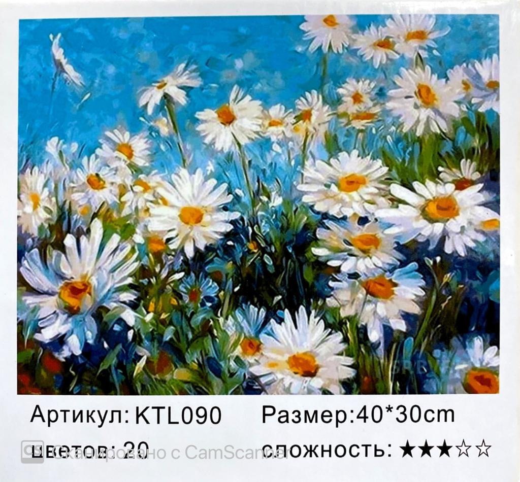 Картина по номерам "Ромашки" 40х30