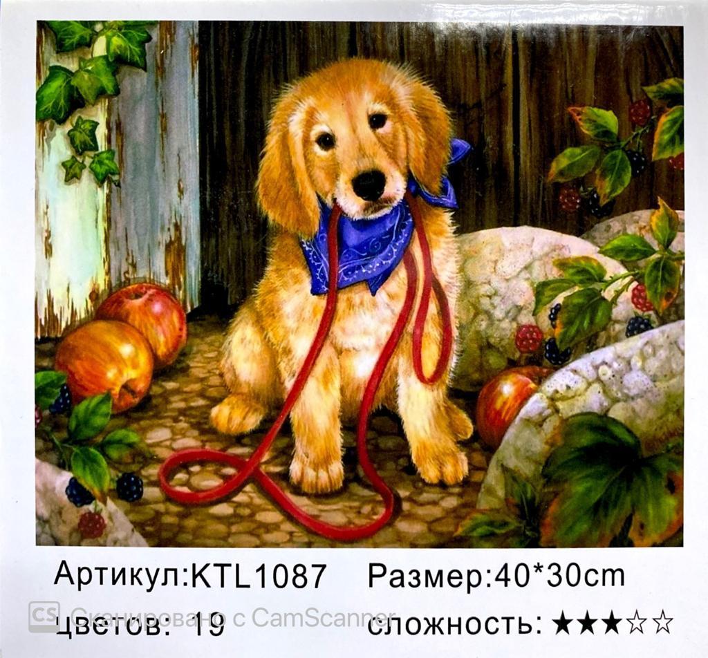 Картина по номерам "Собака" 40х30