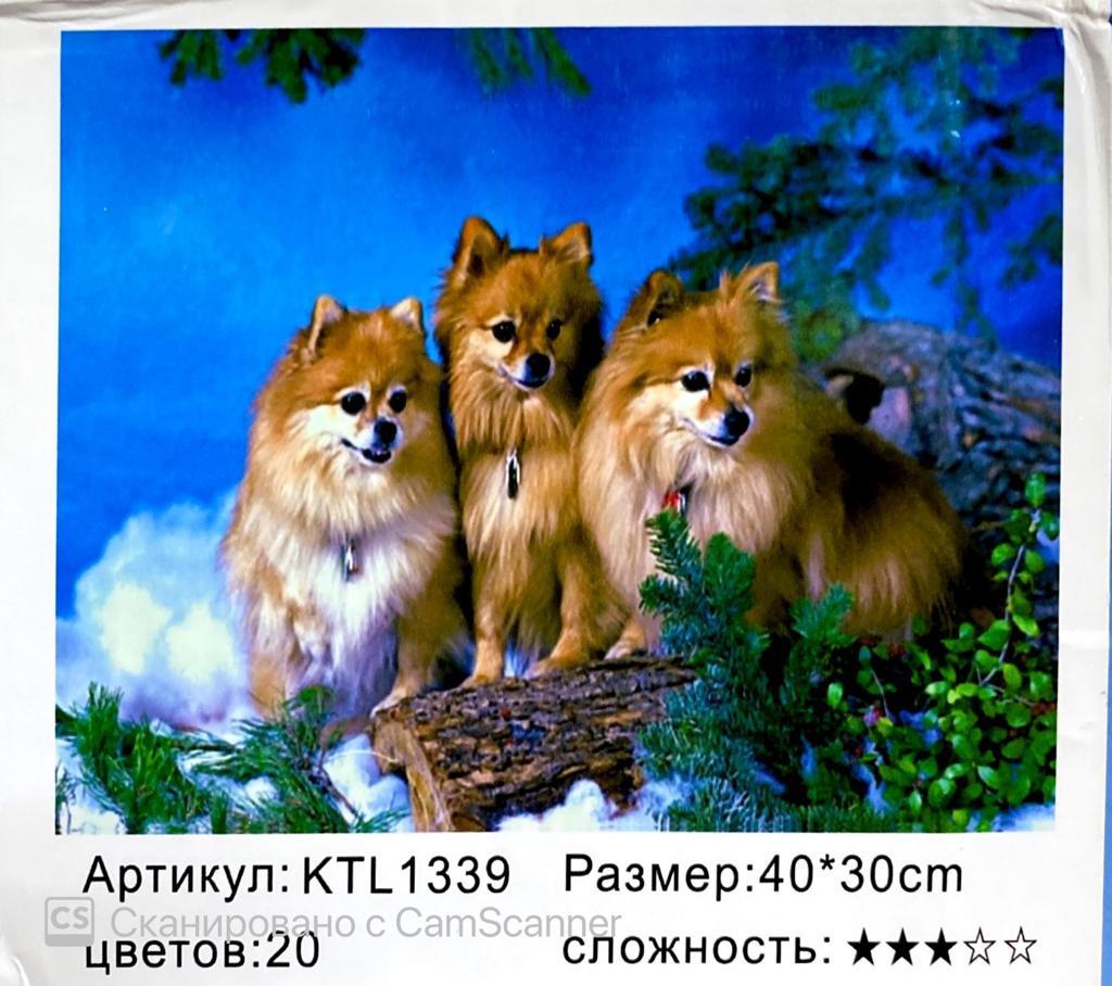 Картина по номерам "Собачки" 40х30