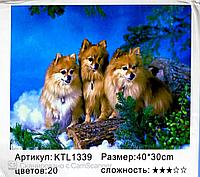 Картина по номерам "Собачки" 40х30