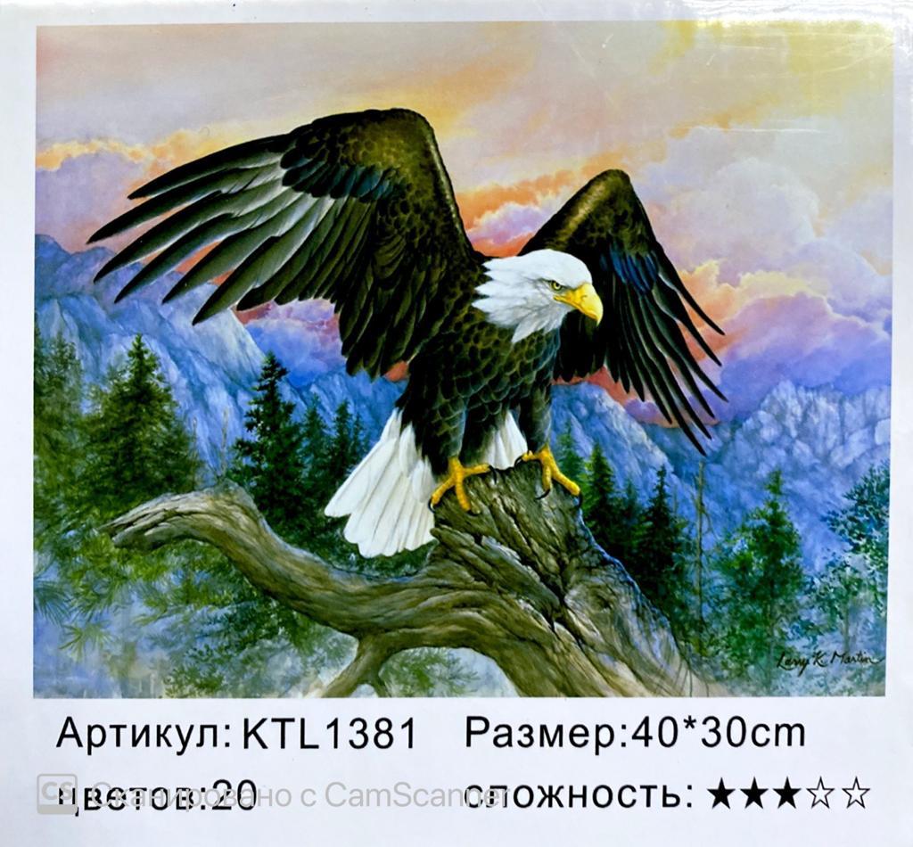 Картина по номерам "Орел" 40х30