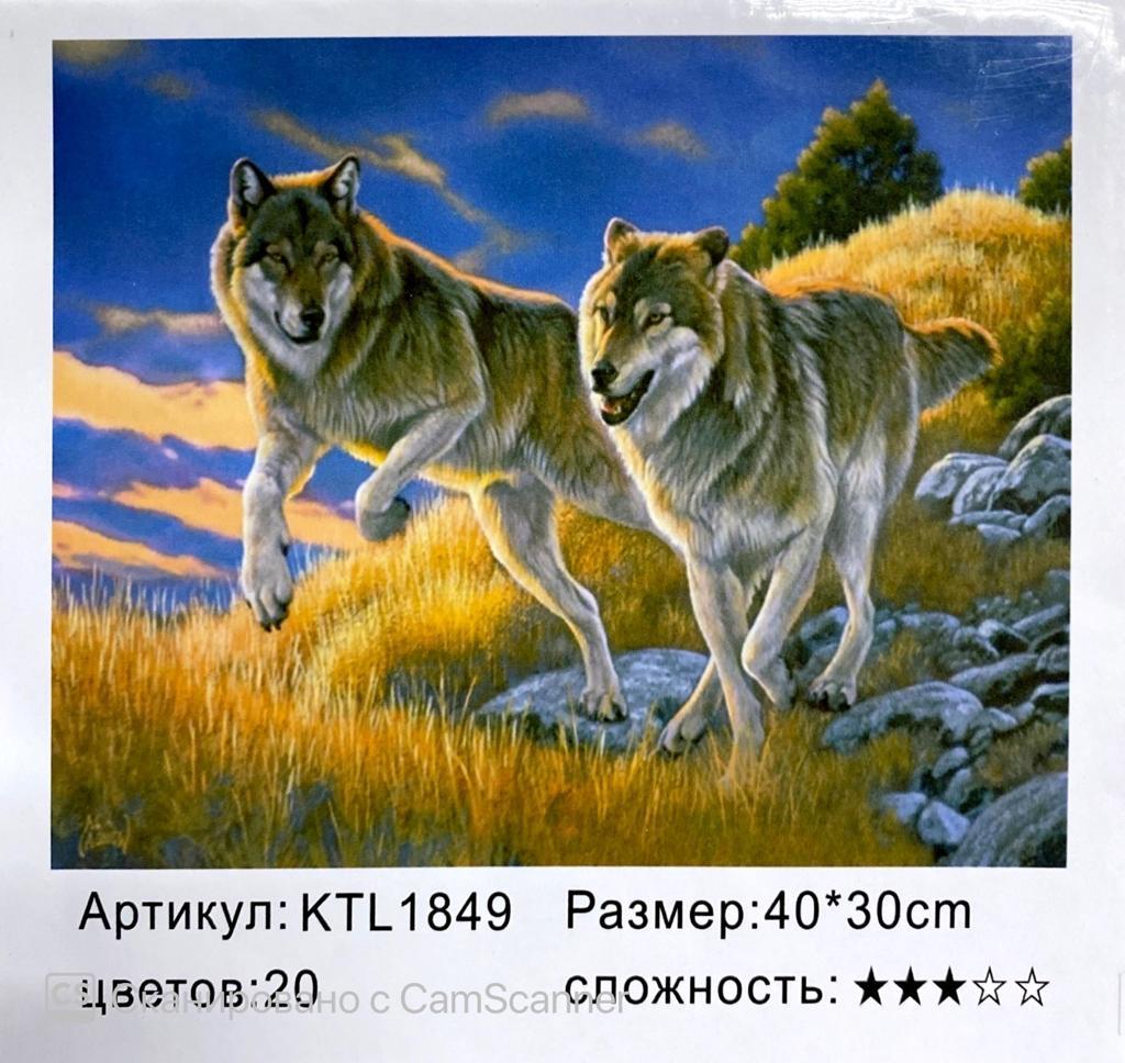 Картина по номерам "Волки" 40х30