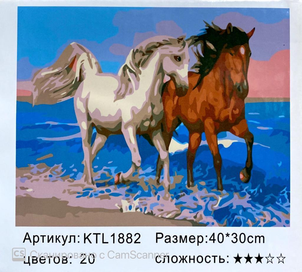 Картина по номерам "Пара лошади" 40х30