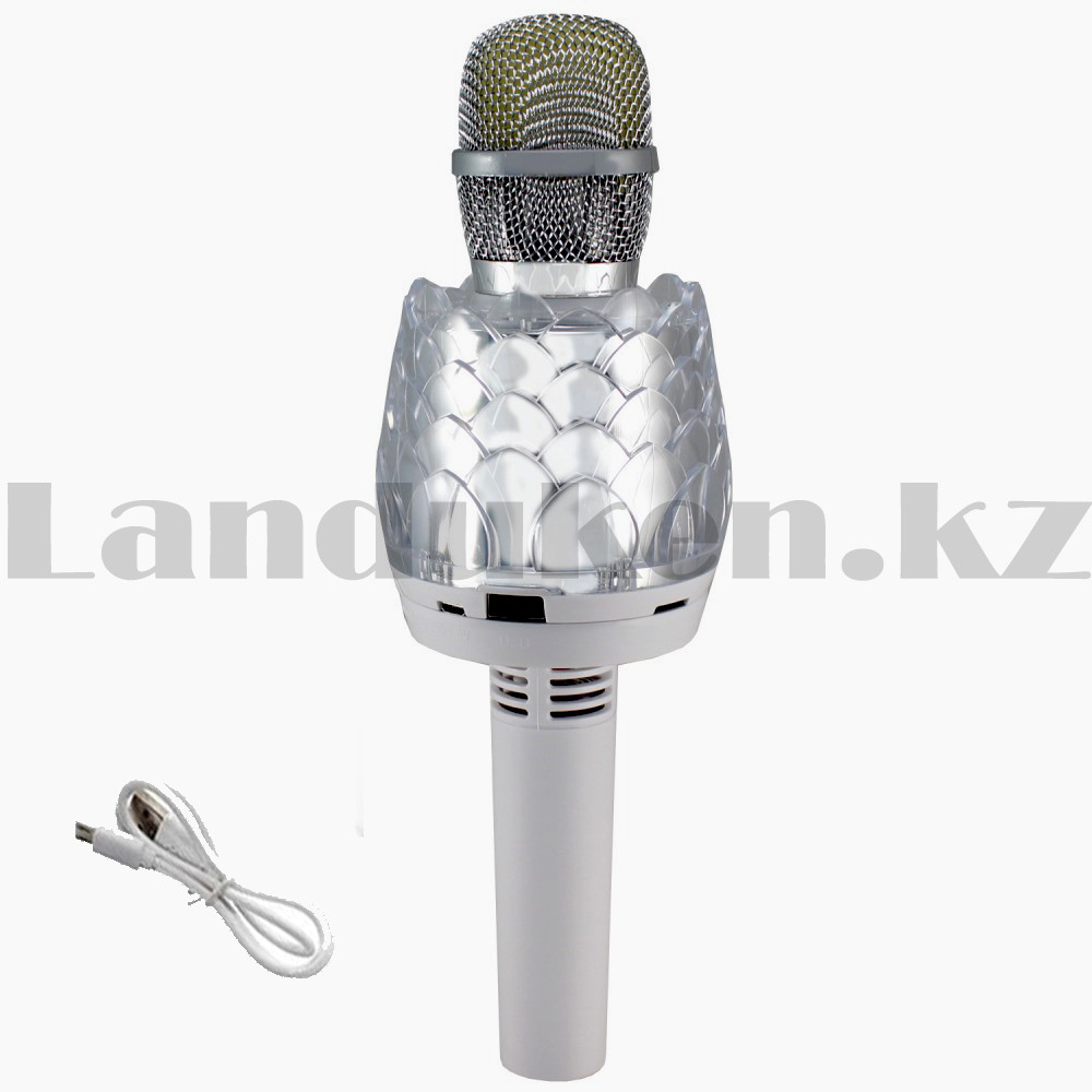 Беспроводной Bluetooth караоке-микрофон с USB входом с изменением голоса и светомузыкой Q101 - фото 3 - id-p78105681