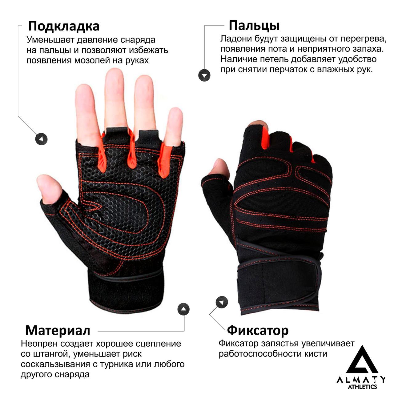 Спортивные перчатки М-18-19.5 - фото 1 - id-p78121448