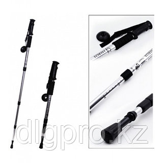 Бір қынаптық фото позициядағы екі әтеш