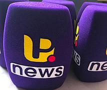 Губка для репортерского микрофона с логотипом (не менее 100 шт)