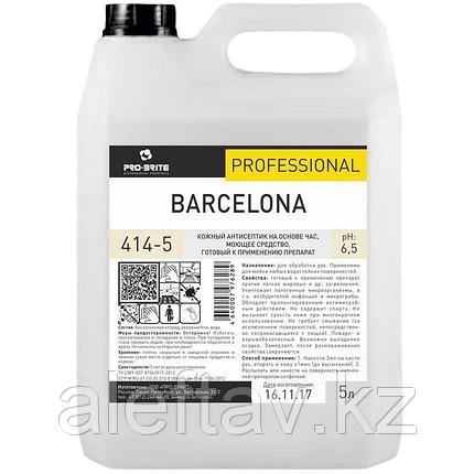 Антисептик для рук Pro Brite Barcelona 5 литров., фото 1